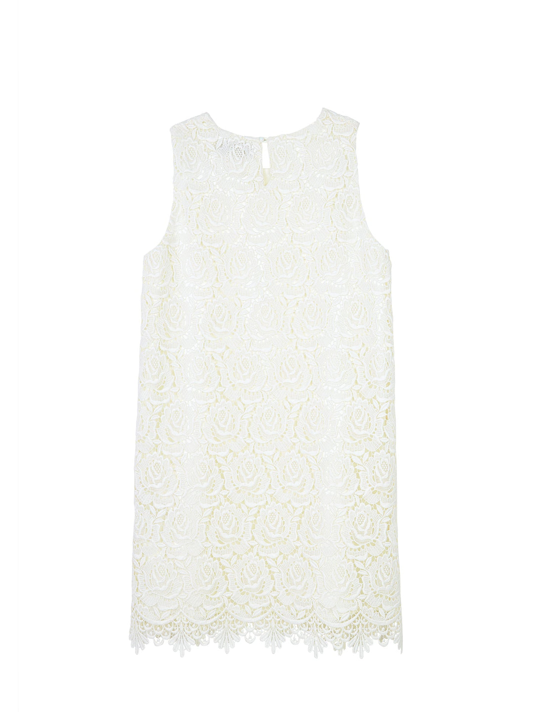 Guipure Sleeveless Mini Dress